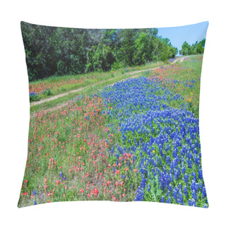 Personality  A Beautiful Rural Texas Field With A Variety Of Texas Wildflowers, Including Bluebonnets. Pillow Covers