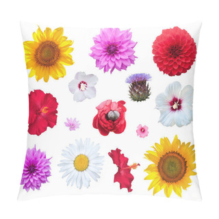 Personality  Flowers Set Isolated On White Background Pillow Covers