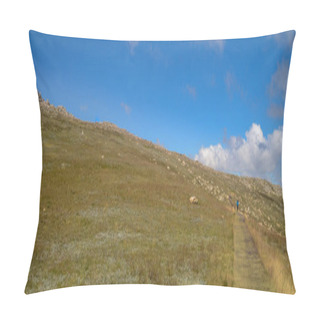 Personality  Sunny Day And A Beautiful View In The Valleys Of Mount Kosciusko In Snowy Mountains Thredbo, Perisher Blue, New South Wales, Australia Pillow Covers