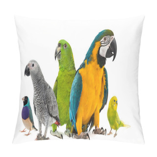 Personality  Goup Of Parrots In Front Of A White Background Pillow Covers