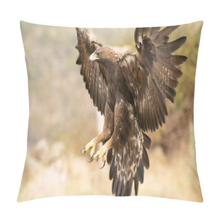 Personality  Adult Female Golden Eagle Flying In A Mediterranean Forest With The First Light Of The Day In Autumn Pillow Covers