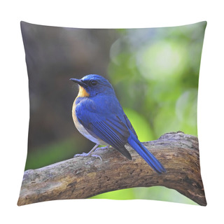 Personality  Male Hill Blue Flycatcher Pillow Covers