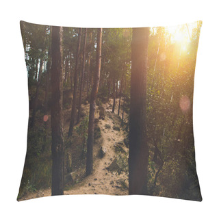 Personality  Footpath In Forest At Sunset Pillow Covers