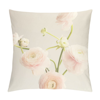 Personality  Pale Pink Ranunculus Flowers Over Clear Background Pillow Covers