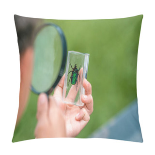 Personality Inquisitive Elementary School Boy Studies Beetle Through Magnifying Glass In Outdoor Park. Examines Insects In Classroom With Magnifying Glass. Research, Thirst For New Knowledge. Back To School. Pillow Covers