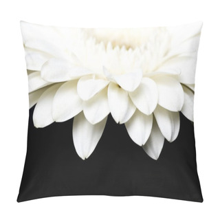 Personality  Cropped Image Of White Gerbera Petals Isolated On Black Pillow Covers