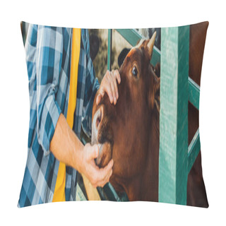 Personality  Cropped View Of Rancher In Checkered Shirt Touching Brown Cow, Horizontal Concept Pillow Covers