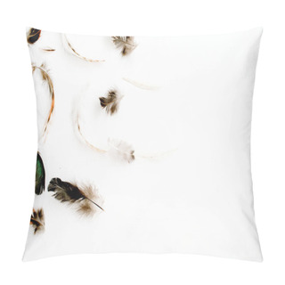 Personality  Bird Feathers Pattern Pillow Covers