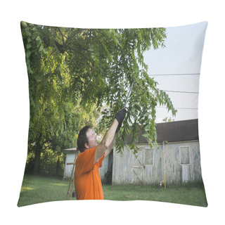 Personality  Pruning Low Lying Limbs From A Tree Pillow Covers