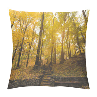 Personality  Stairs At Autumn Park Pillow Covers