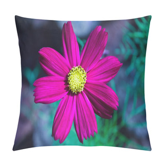 Personality Purple Cosmos Flowers Pillow Covers