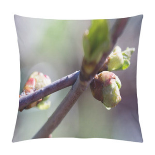 Personality  Buds On Branches Pillow Covers
