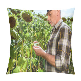 Personality  Selective Focus Of Bearded Farmer Touching Green Leaf Near Sunflowers  Pillow Covers