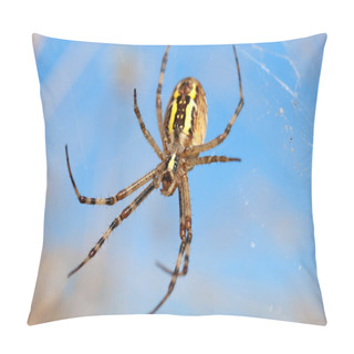 Personality  A Spider Webs Pillow Covers
