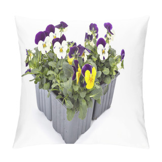 Personality  Pansy Pillow Covers