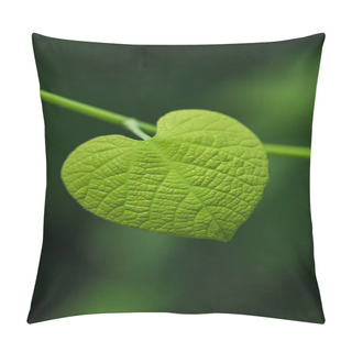 Personality  Heart Shaped Leaf On Blurred Green Background Pillow Covers