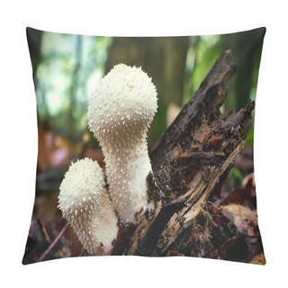 Personality  Lycoperdon Perlatum In The Forest Pillow Covers