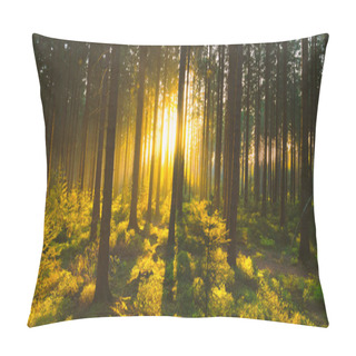 Personality  Silent Forest In Spring With Beautiful Bright Sun Rays Pillow Covers