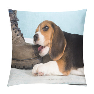 Personality  Puppy Chewing On Foot Pillow Covers