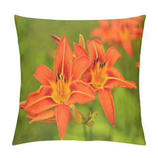 Personality  Macro Photo Nature Blooming Flower Orange Lilium Bulbiferum. Pillow Covers