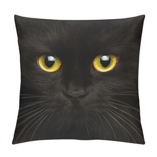 Personality  Cute Muzzle Of A Black Cat Close Up Pillow Covers