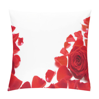 Personality  Red Rose Petals Isolated Pillow Covers