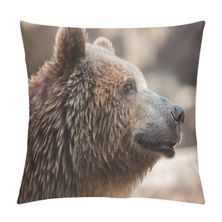 Personality  Eurasian Brown Bear  Pillow Covers