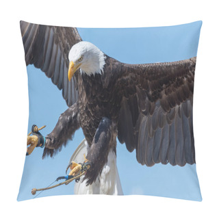 Personality  Bald Eagle (haliaeetus Leucocephalus) Pillow Covers