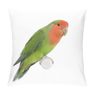 Personality  Peach-faced Lovebirdin - Agapornis Roseicollis Or Lilian's Lovebird Pillow Covers