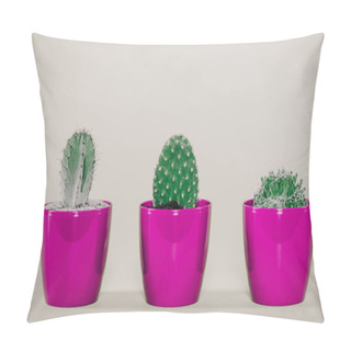 Personality  Close-up View Of Beautiful Green Cactuses In Purple Pots On Grey Pillow Covers