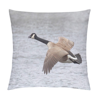 Personality  A Lone Canada Goose Flying Over The Ottawa River In A Canadian Winter Pillow Covers