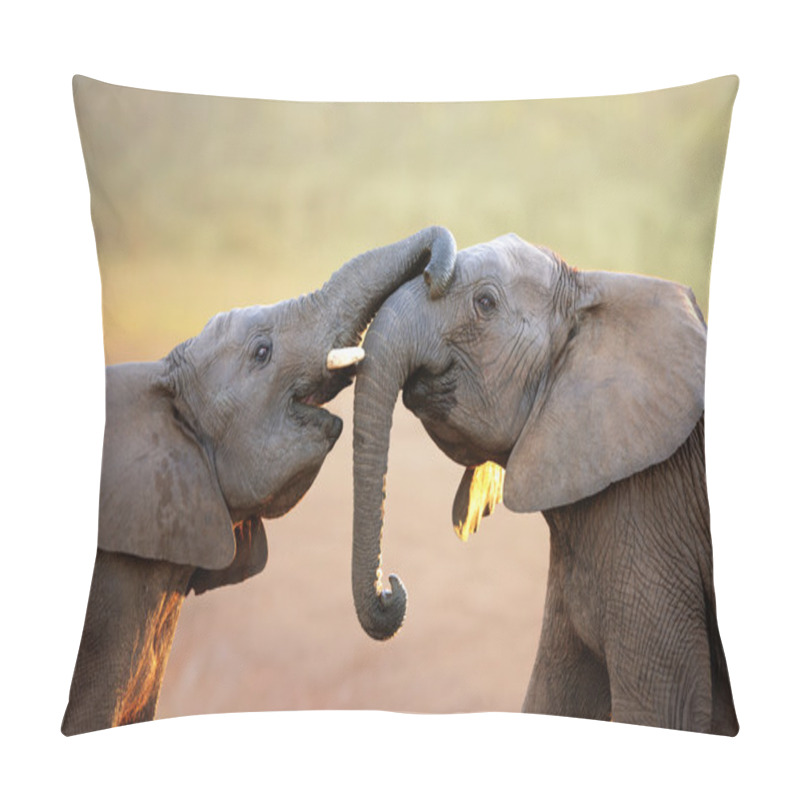 Personality  Elephants touching each other gently (greeting) pillow covers