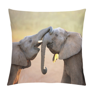 Personality  Elephants Touching Each Other Gently (greeting) Pillow Covers
