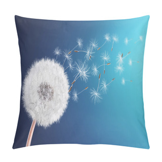 Personality  Dandelion Field Pillow Covers