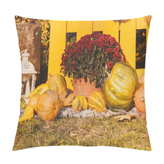 Personality  Thanksgiving Autumn Decorations Pillow Covers