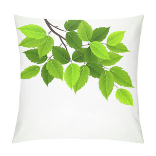Personality  Branch With Fresh Green Leaves Pillow Covers