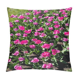 Personality  Beautiful Pink Colorful Tulips With Green Leaves Pillow Covers