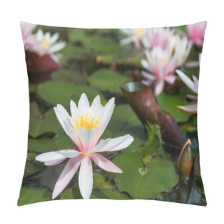 Personality  Pink Lotus Flowers Pillow Covers