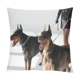 Personality  Cropped View Of Woman With Dobermans On Chain Leashes On Grey Background With Shadows Pillow Covers