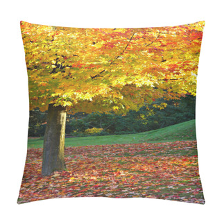 Personality  Autumn In The Park Pillow Covers