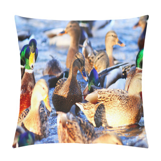 Personality  Beautiful Wild Ducks Pillow Covers