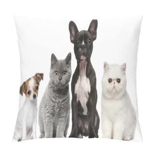 Personality  Group Of Dogs And Cats In Front Of White Background Pillow Covers