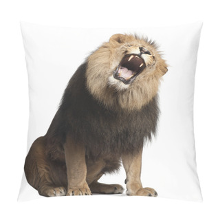 Personality  Lion, Panthera Leo, 8 Years Old, Roaring In Front Of White Background Pillow Covers