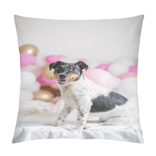 Personality  Happy First Dog Birthday. Beautiful Jack Russel Terrier Dog With Many Balloons On White Background. Pets And Holiday Concept Pillow Covers