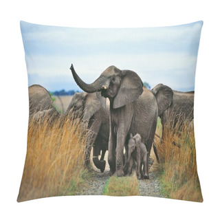 Personality  Elephant Pillow Covers