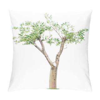 Personality  Old Pruned Tree Pillow Covers