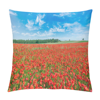 Personality  Beautiful Summer Day Over Poppy Field Pillow Covers