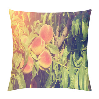 Personality  Green Peach Tree Pillow Covers