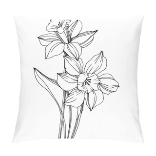 Personality  Vector Narcissus Floral Botanical Flower. Wild Spring Leaf Wildflower Isolated. Black And White Engraved Ink Art. Isolated Narcissus Illustration Element. Pillow Covers