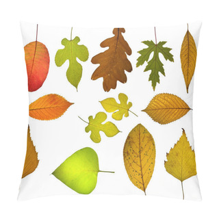 Personality  Set Of Different Autumnal Leaves Pillow Covers